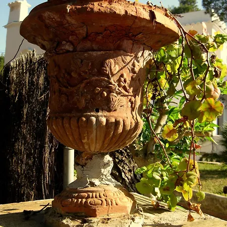 Vendégház Casa Ceiba Maria Cala D´Or