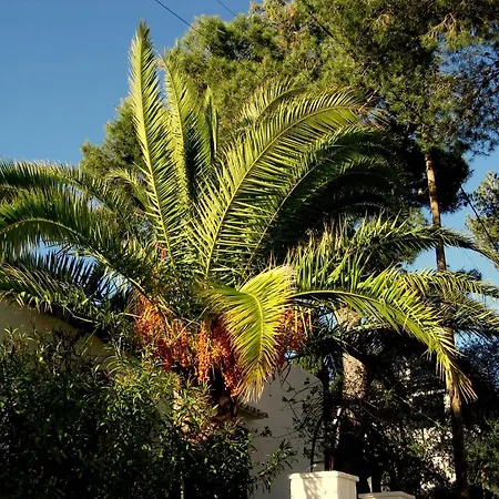 Vendégház Casa Ceiba Maria Cala D´Or