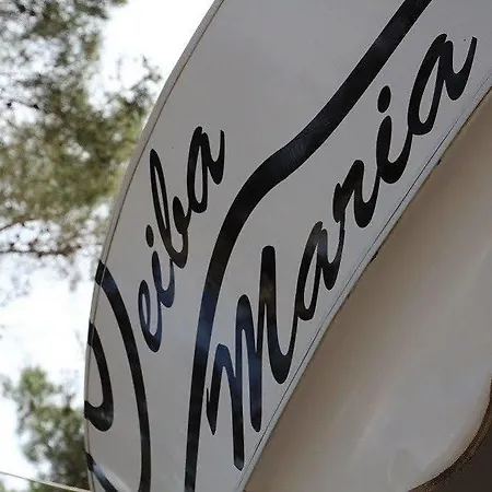 Casa Ceiba Maria