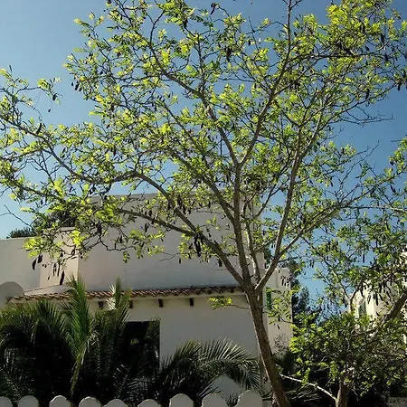 게스트하우스 Casa Ceiba Maria 2*